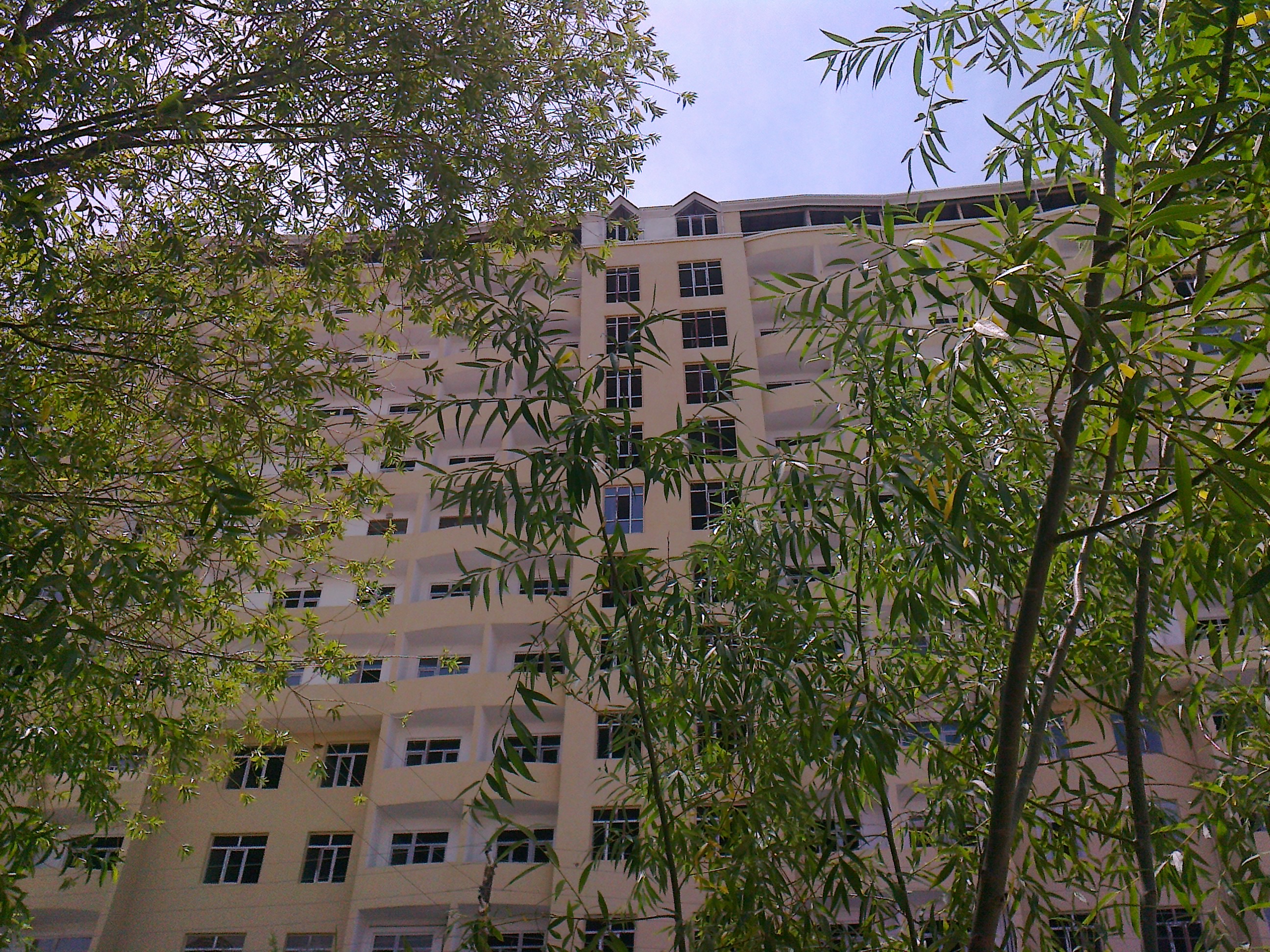 Layihə şəkli